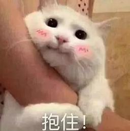 DƬ